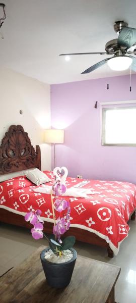 Gacelita Cozumel